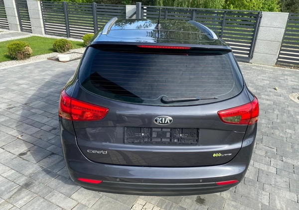 Kia Ceed cena 23900 przebieg: 163900, rok produkcji 2013 z Świecie małe 379